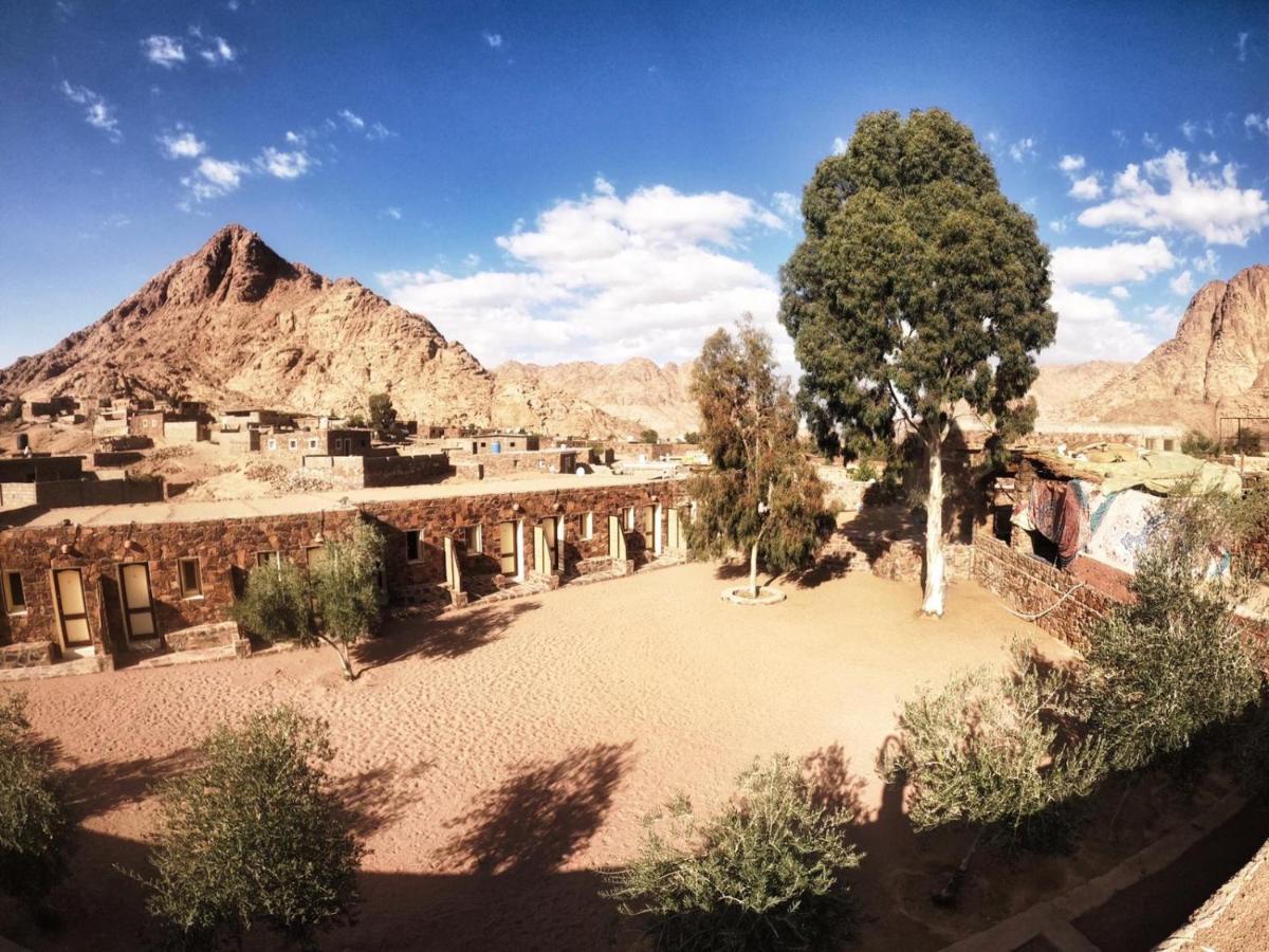 Hotel Sheikh Mousa Bedouin Camp Saint Catherine Exterior foto