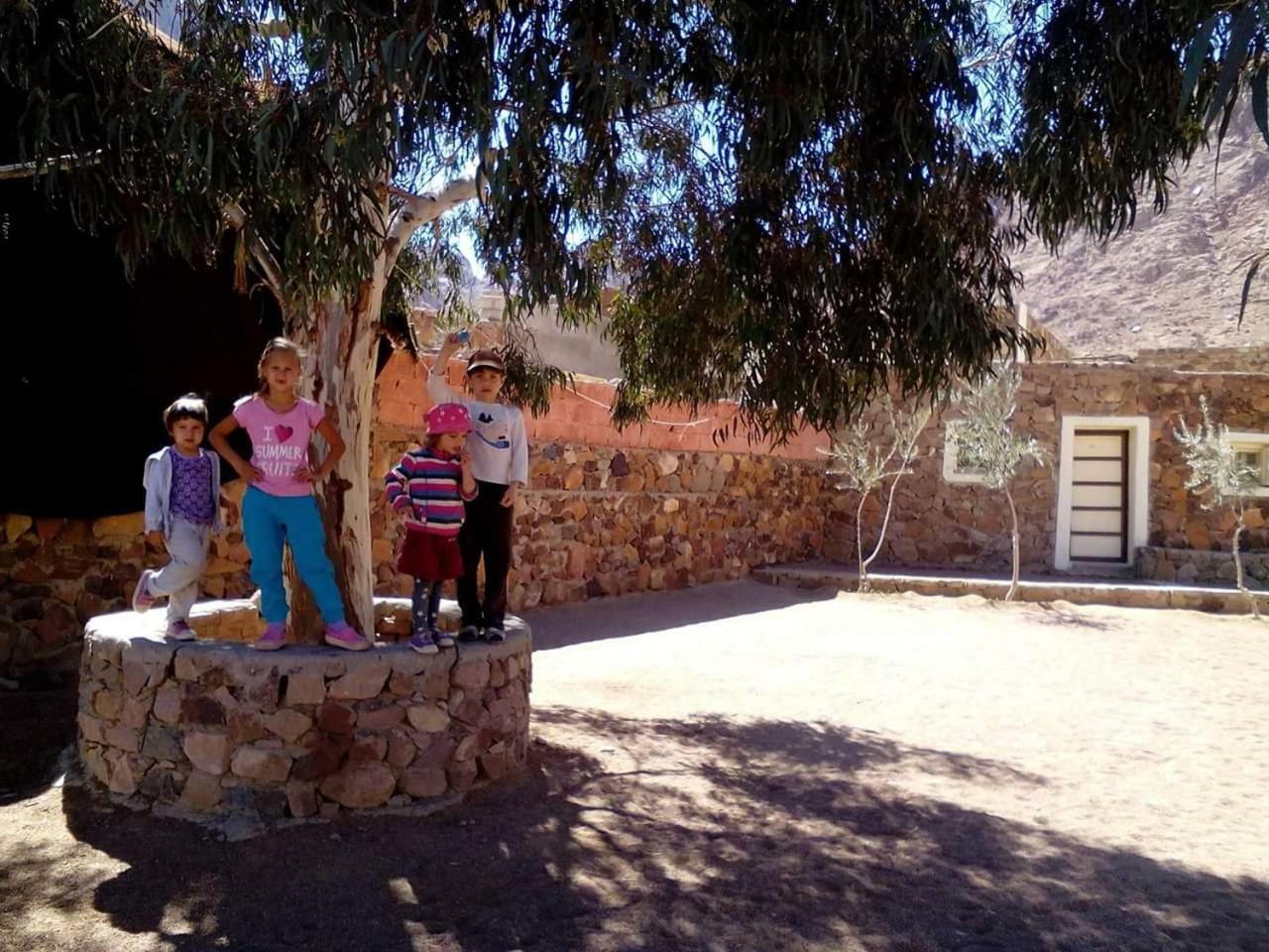 Hotel Sheikh Mousa Bedouin Camp Saint Catherine Exterior foto