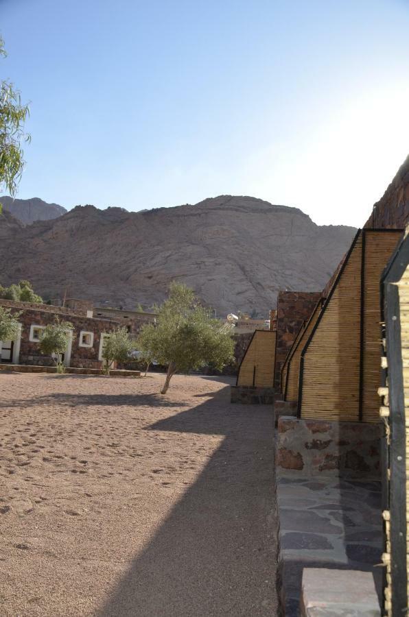 Hotel Sheikh Mousa Bedouin Camp Saint Catherine Exterior foto