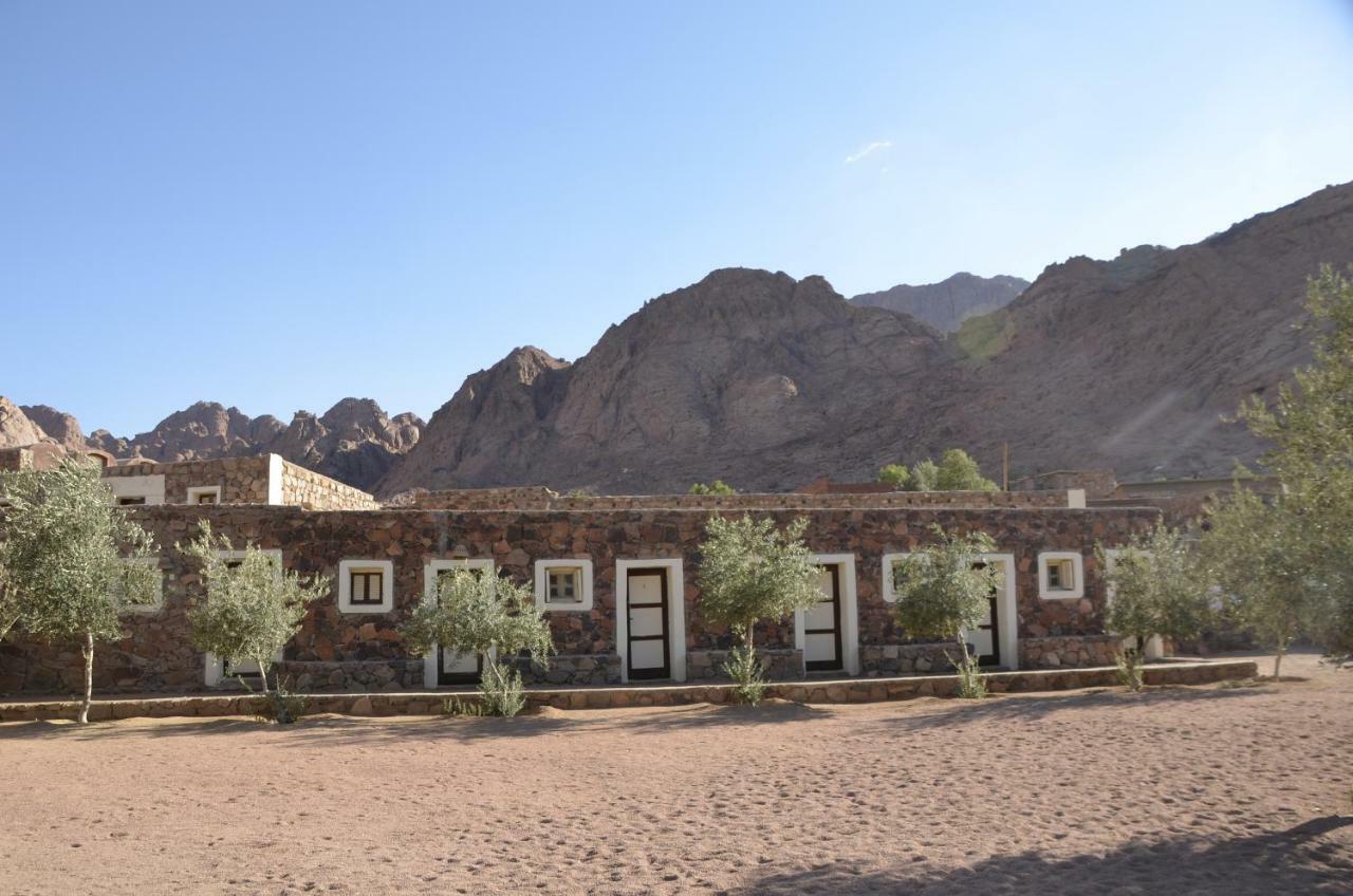 Hotel Sheikh Mousa Bedouin Camp Saint Catherine Exterior foto