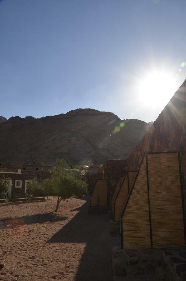 Hotel Sheikh Mousa Bedouin Camp Saint Catherine Exterior foto